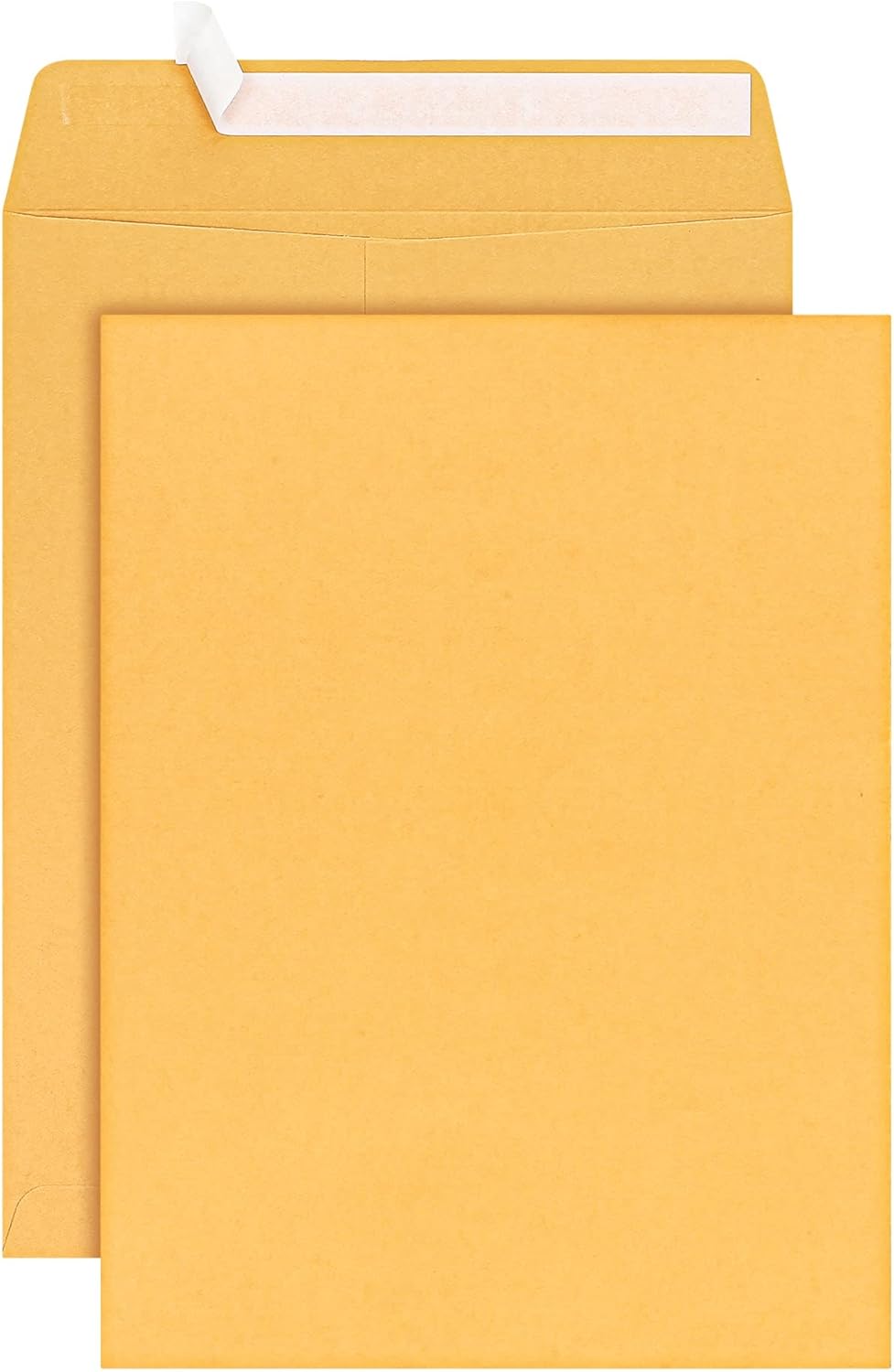 Seal with Confidence - 9x12 Recycled Envelopes 100 Pack