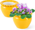 2pcs 6.5in Self Watering Indoor Plant Pots - Bottom Watering Ease
