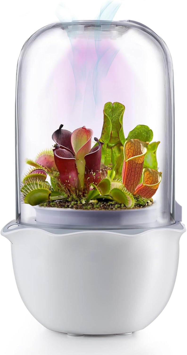 Smart Planter with Timer and Fan for Succulents and Plants