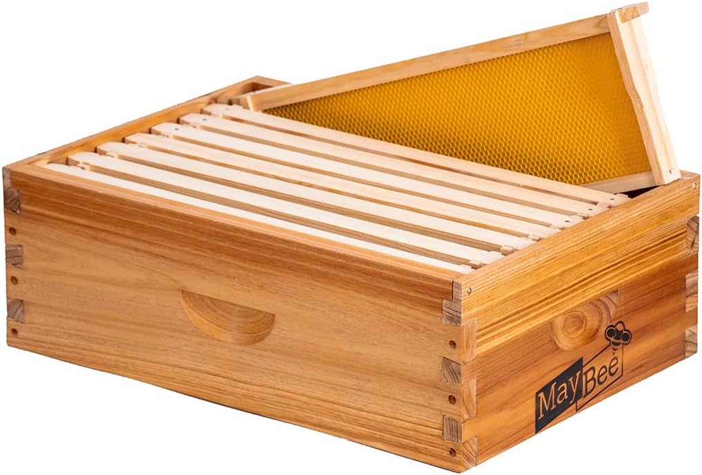 8-Frame Beehive Box for Sale - Langstroth Medium Super Bee Box