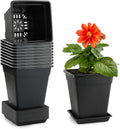 6 Inch Plastic Flower Pots for Indoor and Outdoor Gardening