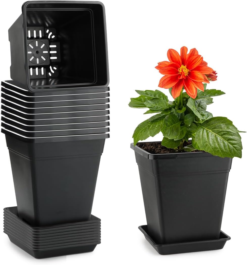 6 Inch Plastic Flower Pots for Indoor and Outdoor Gardening