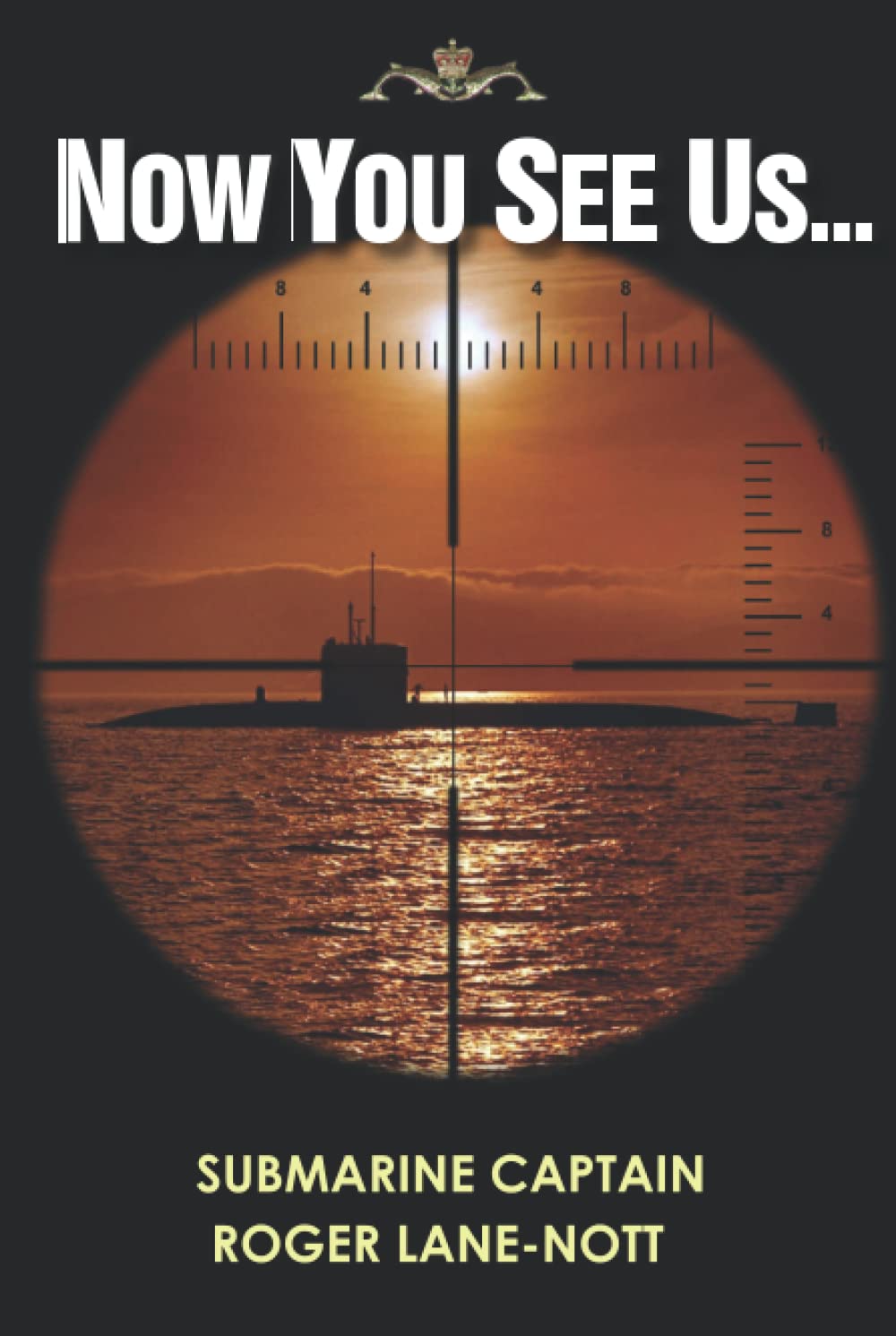 NOW YOU SEE US: DEEP DOWN YOU KNOW IT MAKES SENSE Review