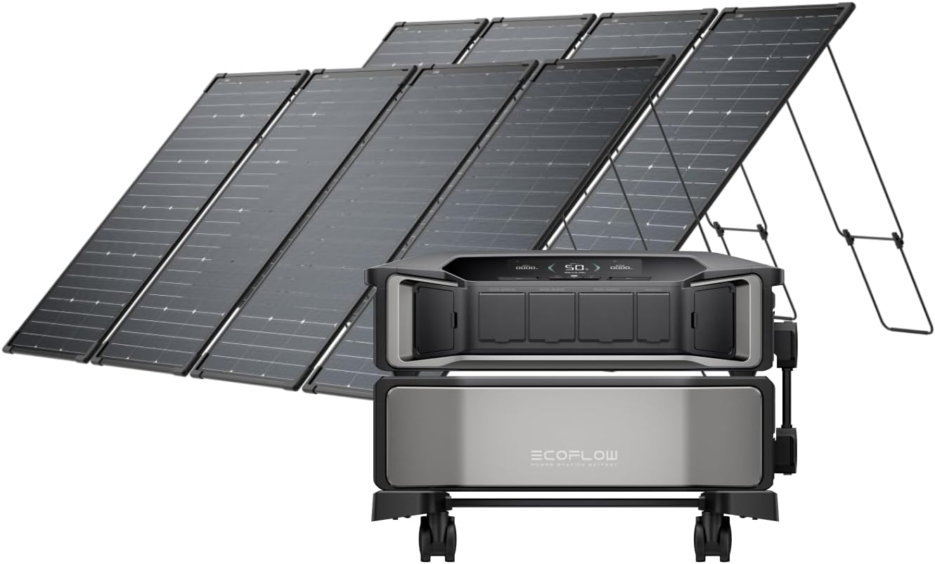Ultimate Portable Power: EF ECOFLOW Delta Pro