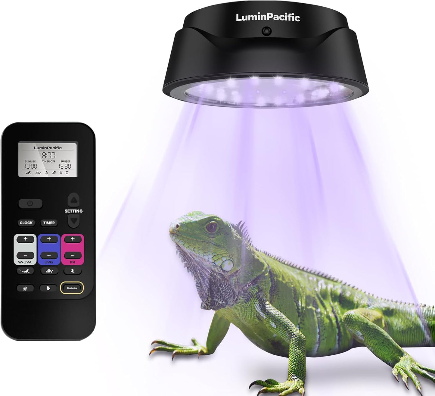 LED Reptiles Light with Remote for Bearded Dragons and More