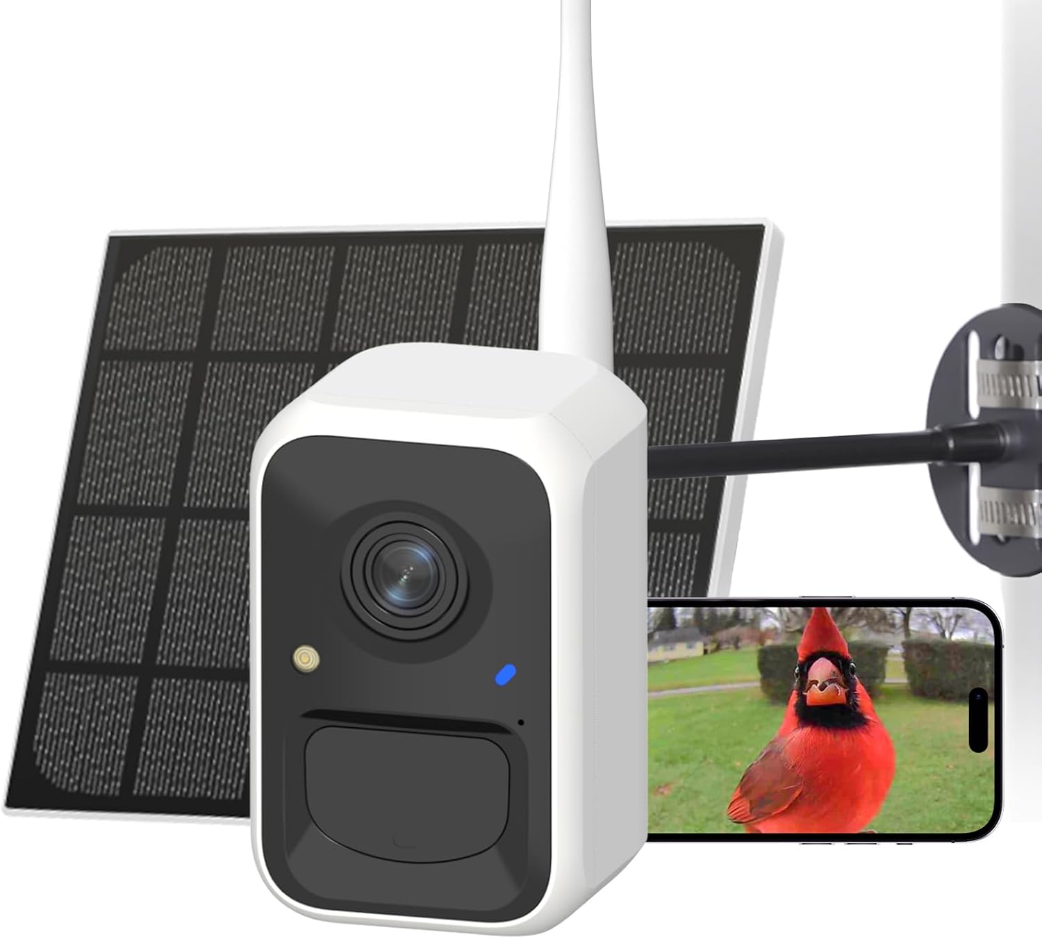 Solar-Powered Smart Bird Camera with AI Identify