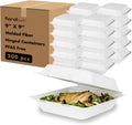 Clamshell Take Out Food Containers 9in x 9in 200 ct - Compostable Case