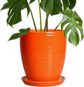 Ceramic Pots for Plants 8 in Round Planter - Modern Draining Saucer