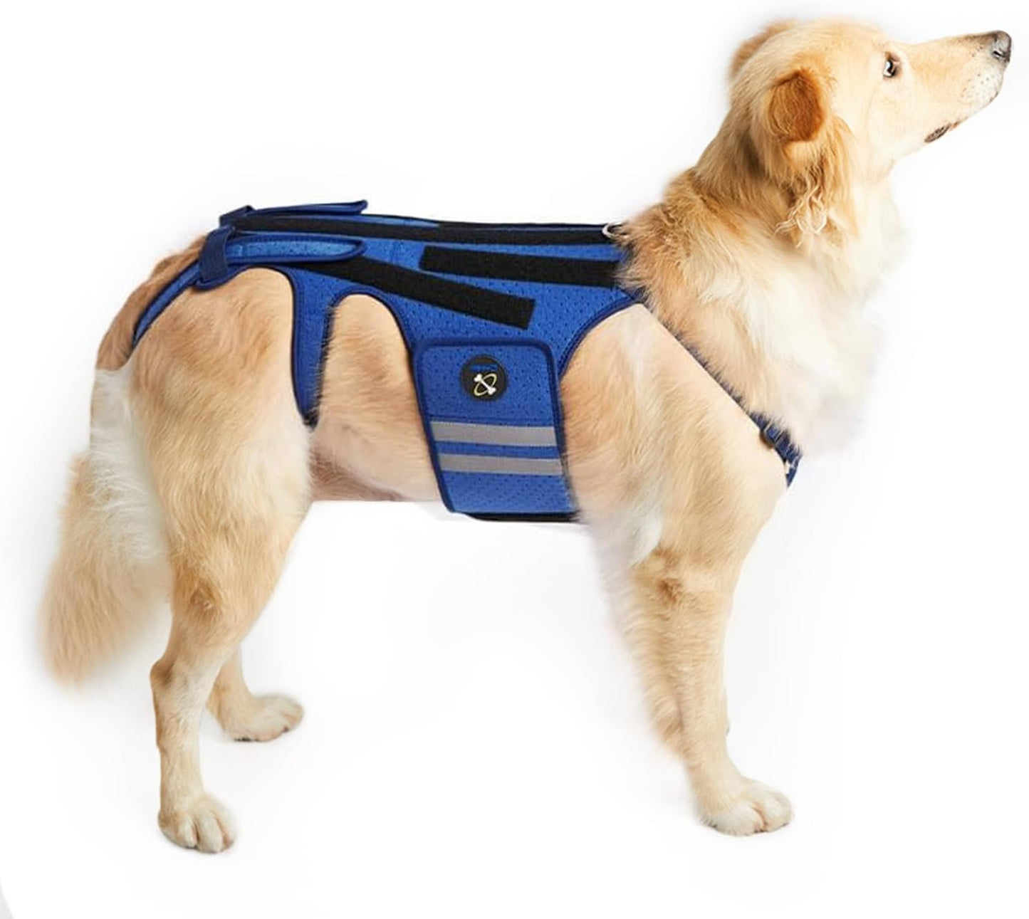 Coodeo Dog Back Brace for Arthritis and IVDD Pain Relief