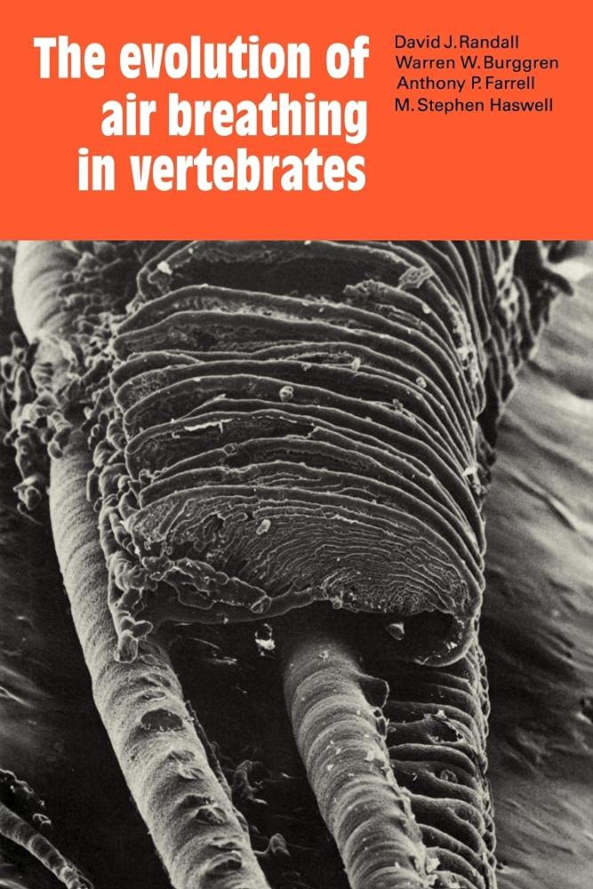 The Evolution of Air Breathing in Vertebrates: A Comprehensive Study