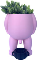 Peeing Man Planter 9 in Pink - Funny Vase Planter for Succulents