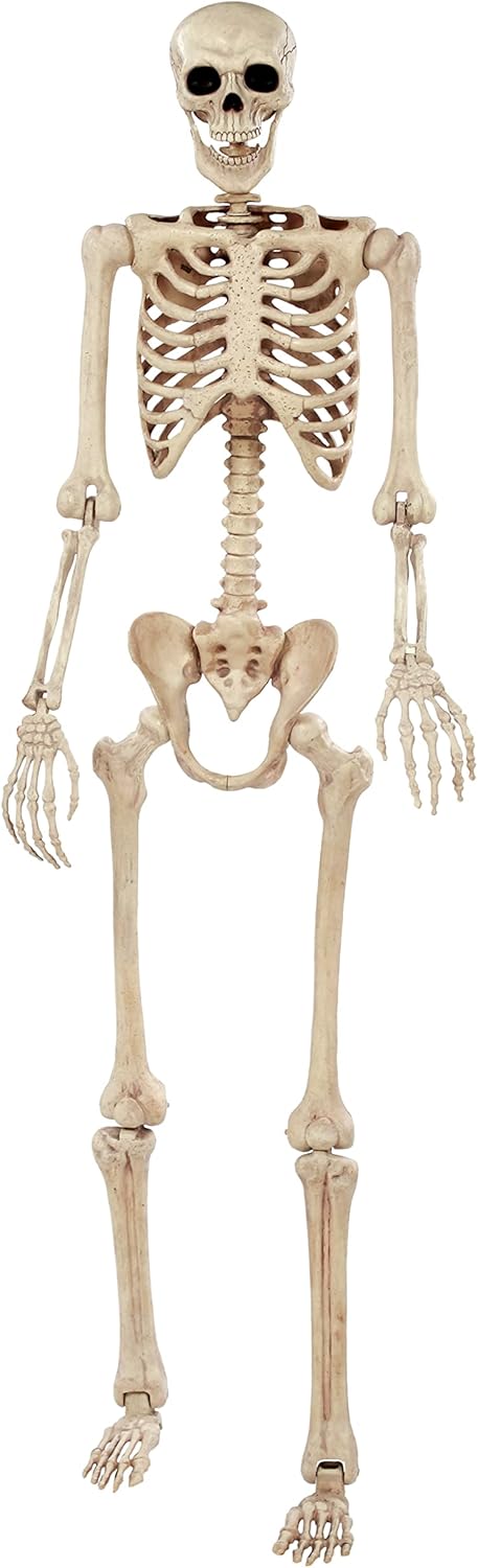Crazy Bonez Pose-N-Stay 6 FT Life-Size Skeleton for Halloween