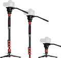 IFOOTAGE 71 Monopod with Fluid Head for Outdoor Photography