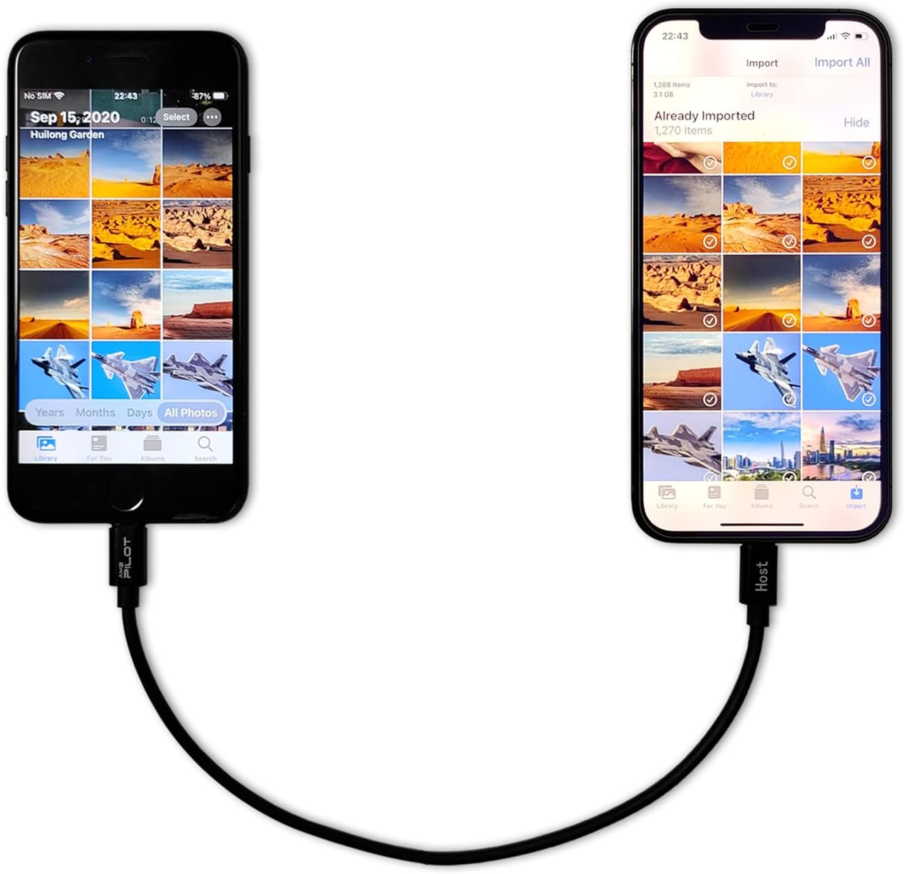 Fast iPhone Data Transfer Cable - 0.8ft