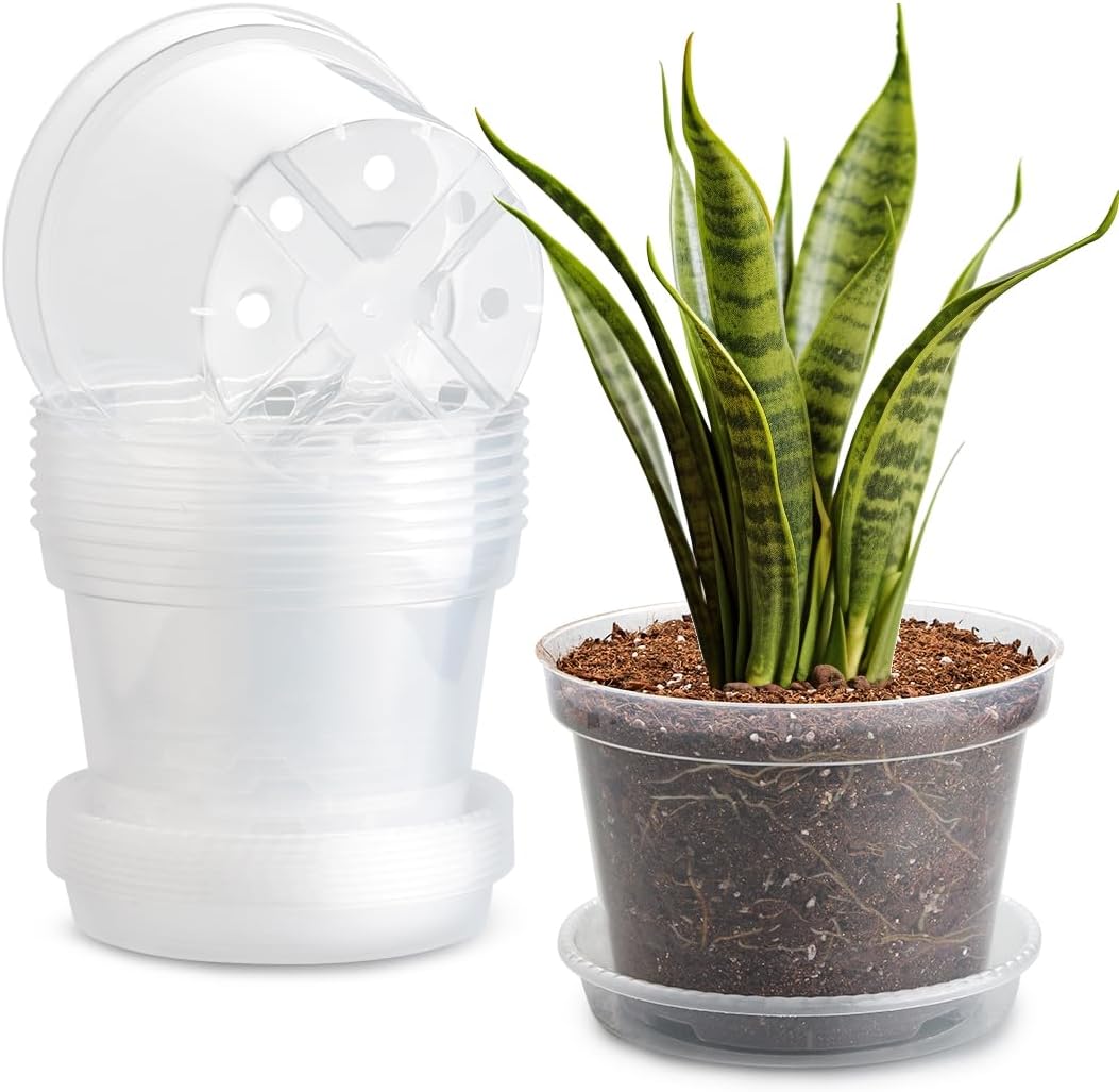 8 Inch Clear Nursery Pots with Saucer for Indoor Gardening