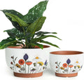 YBX 8 in & 6 in Terracotta Plant Pots - French Country Floral