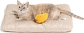 2 in 1 Dog Bed Crate Pad Mat 23.6 x 17.9 in Beige - Reversible Comfort