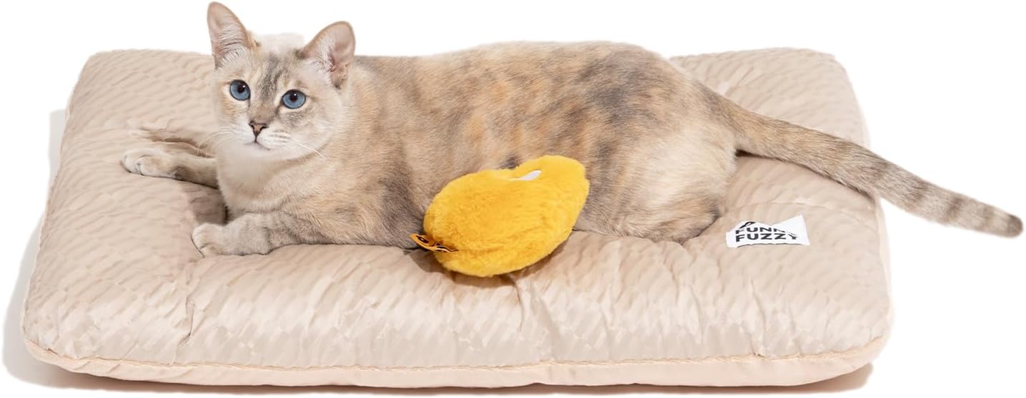 FUNNY FUZZY 2 in 1 Dog Bed Crate Pad Mat for Ultimate Comfort