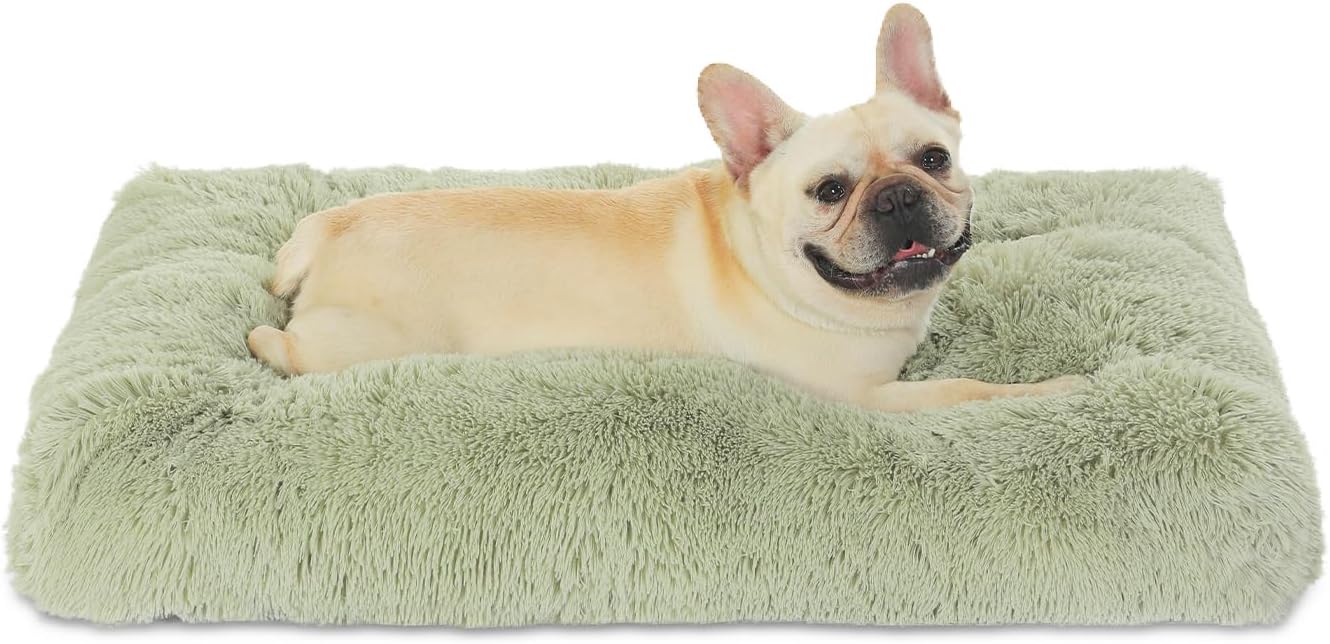Waterproof Crate Bed for Dogs, Plush Dog Kennel Pad, Sage Green