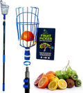 EVERSPROUT Telescoping Fruit Picker 4.5 to 12 ft - Gentle Harvest