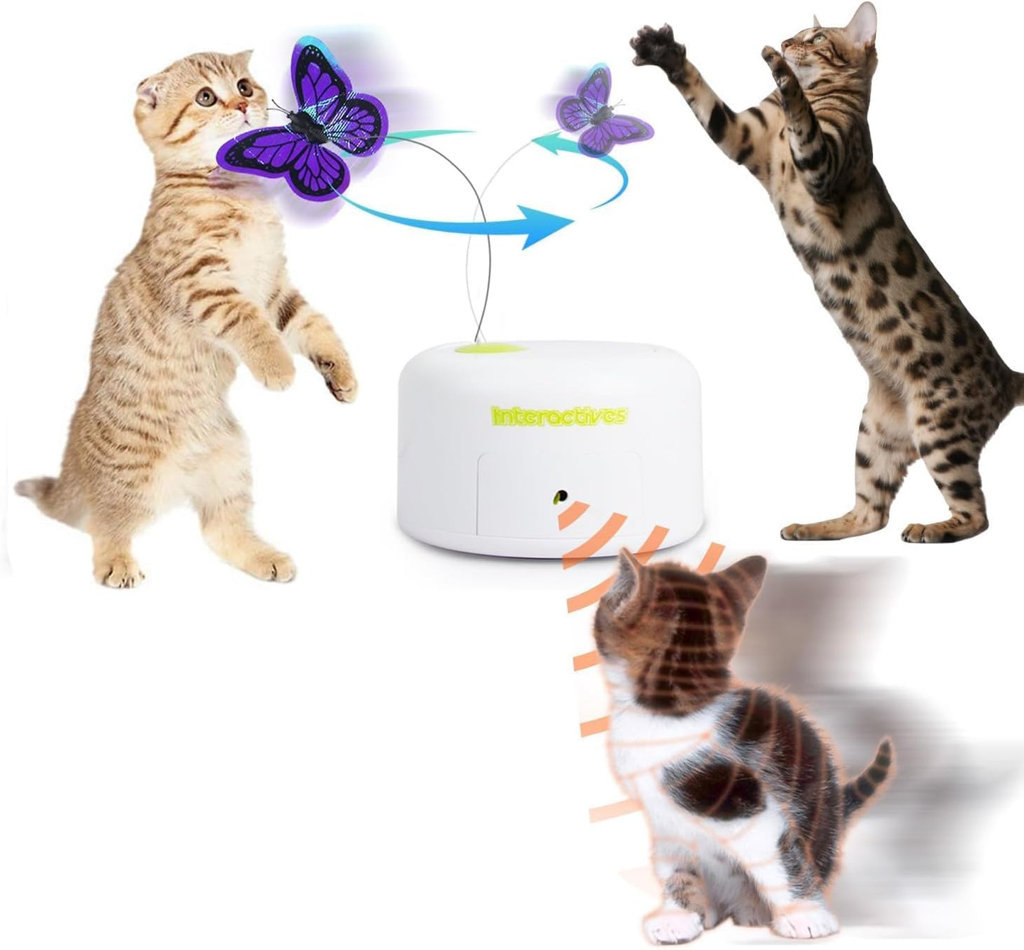 Interactive Cat Teaser Toy with Catnip - Fluttering Fun!