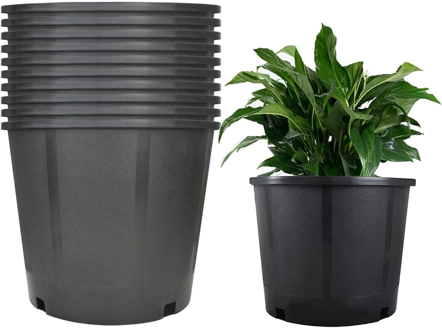 3 Gallon Premium Nursery Plastic Planter Pots for Plants