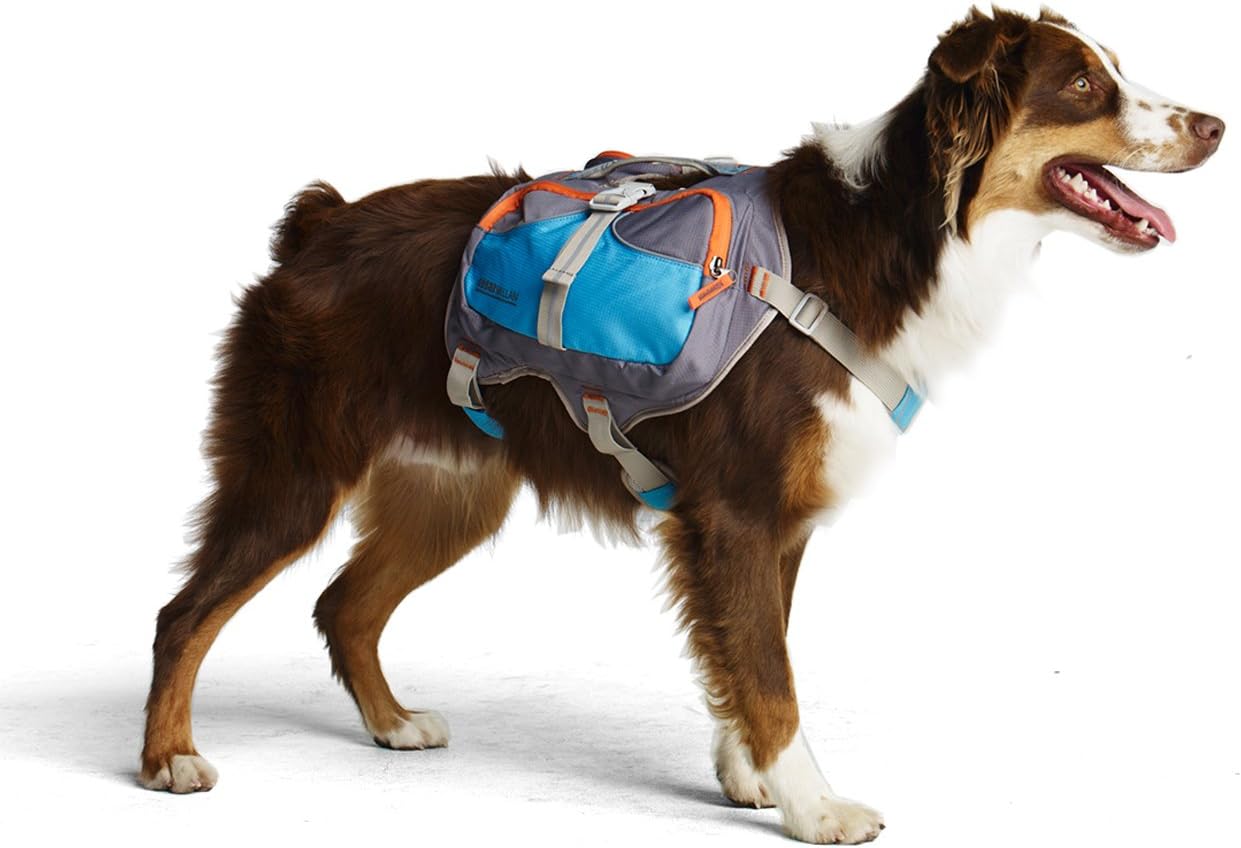 Cesar Millan Dog Backpack for Large Dogs - Blue Hiking Gear
