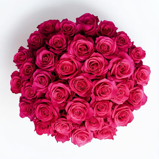 Fresh Cut Hot Pink Roses - 50 Beautiful Stems for Any Occasion