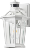 VIANIS Motion Sensor Outdoor Light Fixture - Dusk to Dawn Porch Light