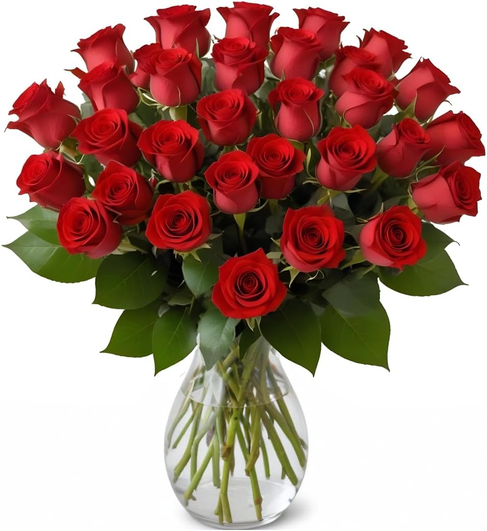 25 Red Roses in a Hand Blown Glass Vase for Every Occasion