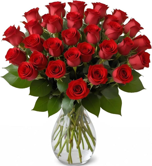 25 Red Roses in a Hand Blown Glass Vase for Every Occasion