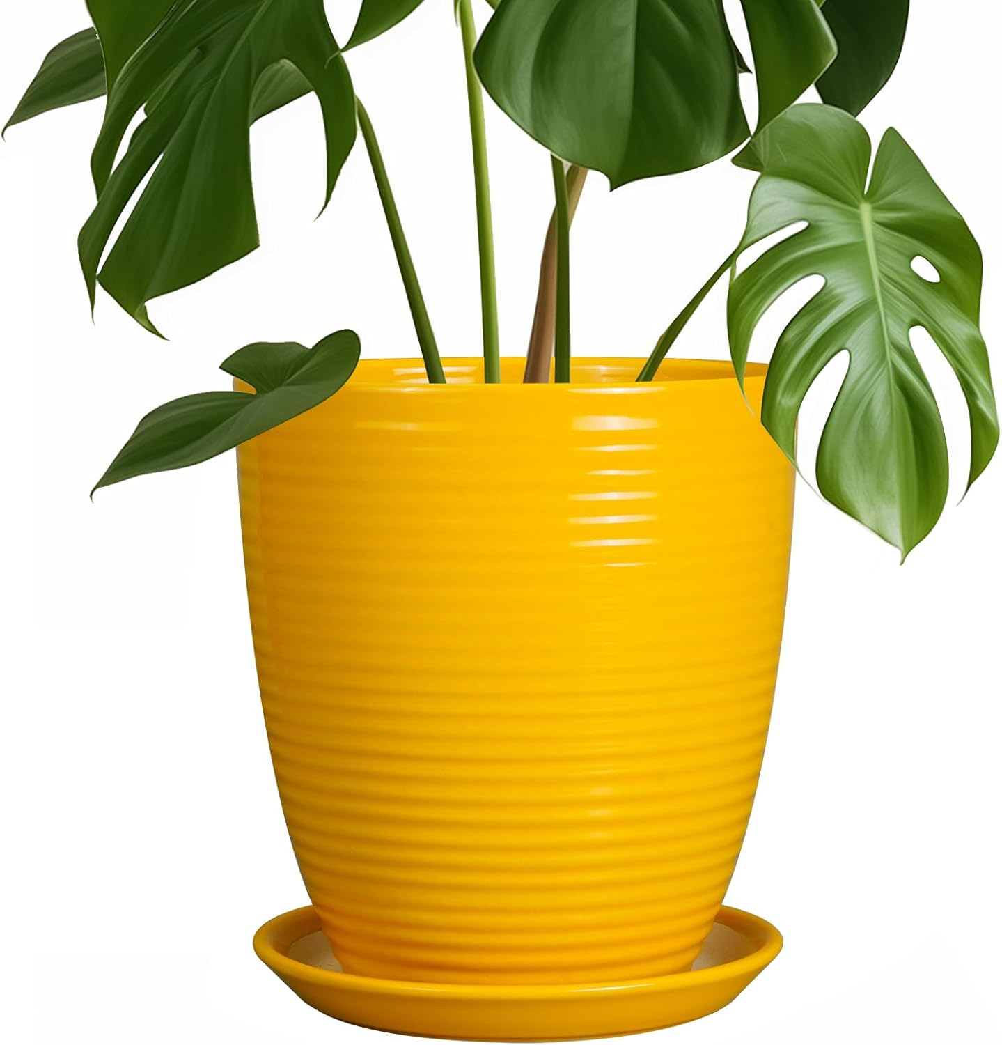 Ceramic Plant Pot - 8 Inch Planter with Drainage Hole for Home