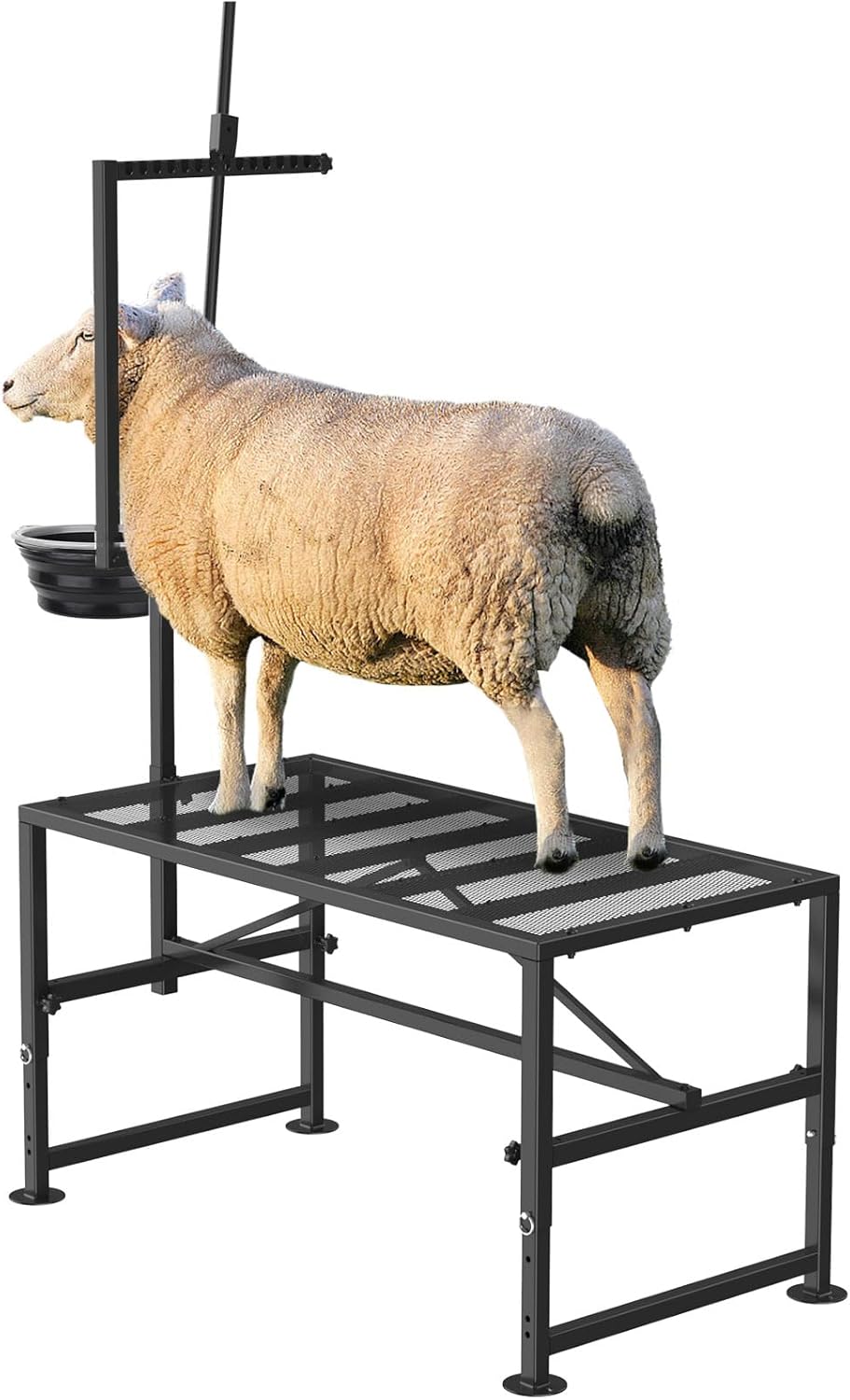 600 LBs Goat Milking Stand with Adjustable Feed Bin Design