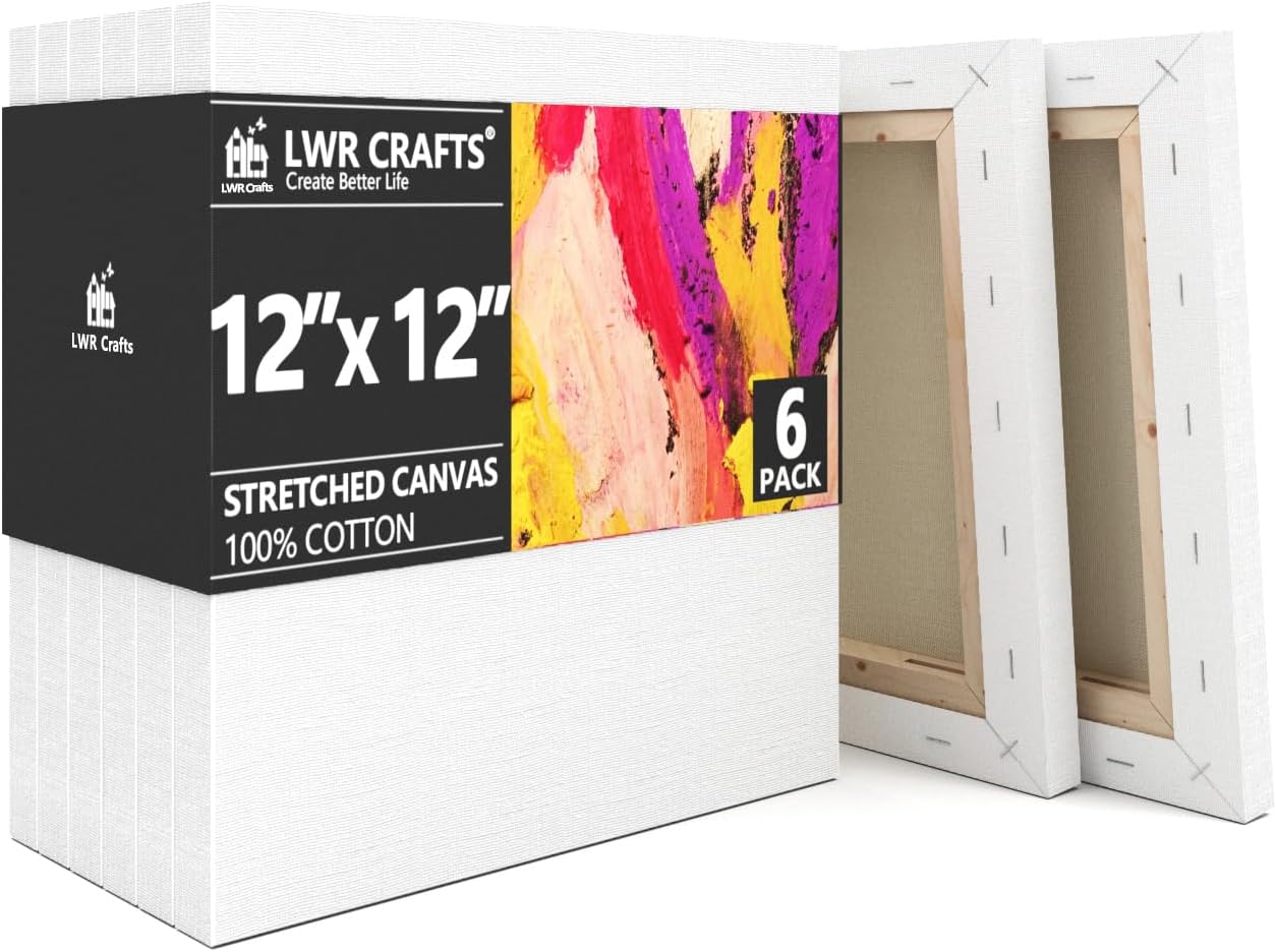 LWR CRAFTS Stretched Canvas 12in x 12in Pack of 6 for Artists
