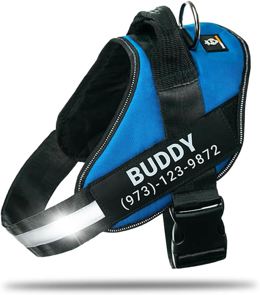 Personalized No-Pull Dog Harness for Comfortable Walking