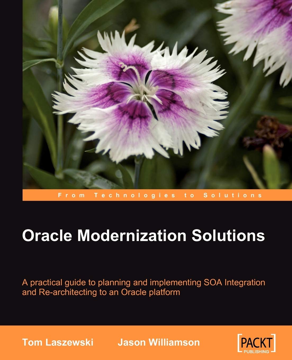 Oracle Modernization Solutions Guide for SOA Integration Planning