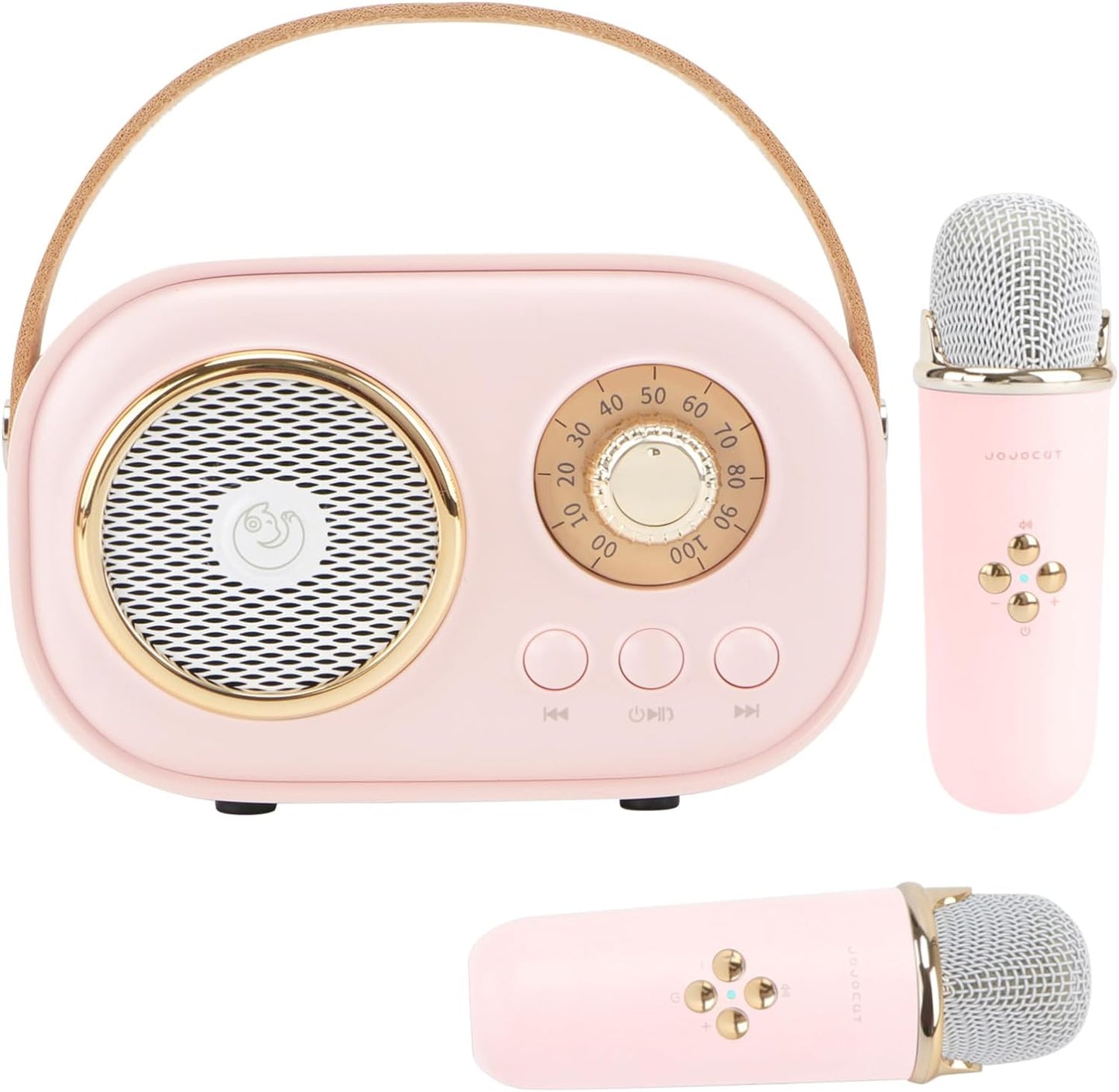Portable Karaoke Machine for Kids with Dual Microphones - Aresrora