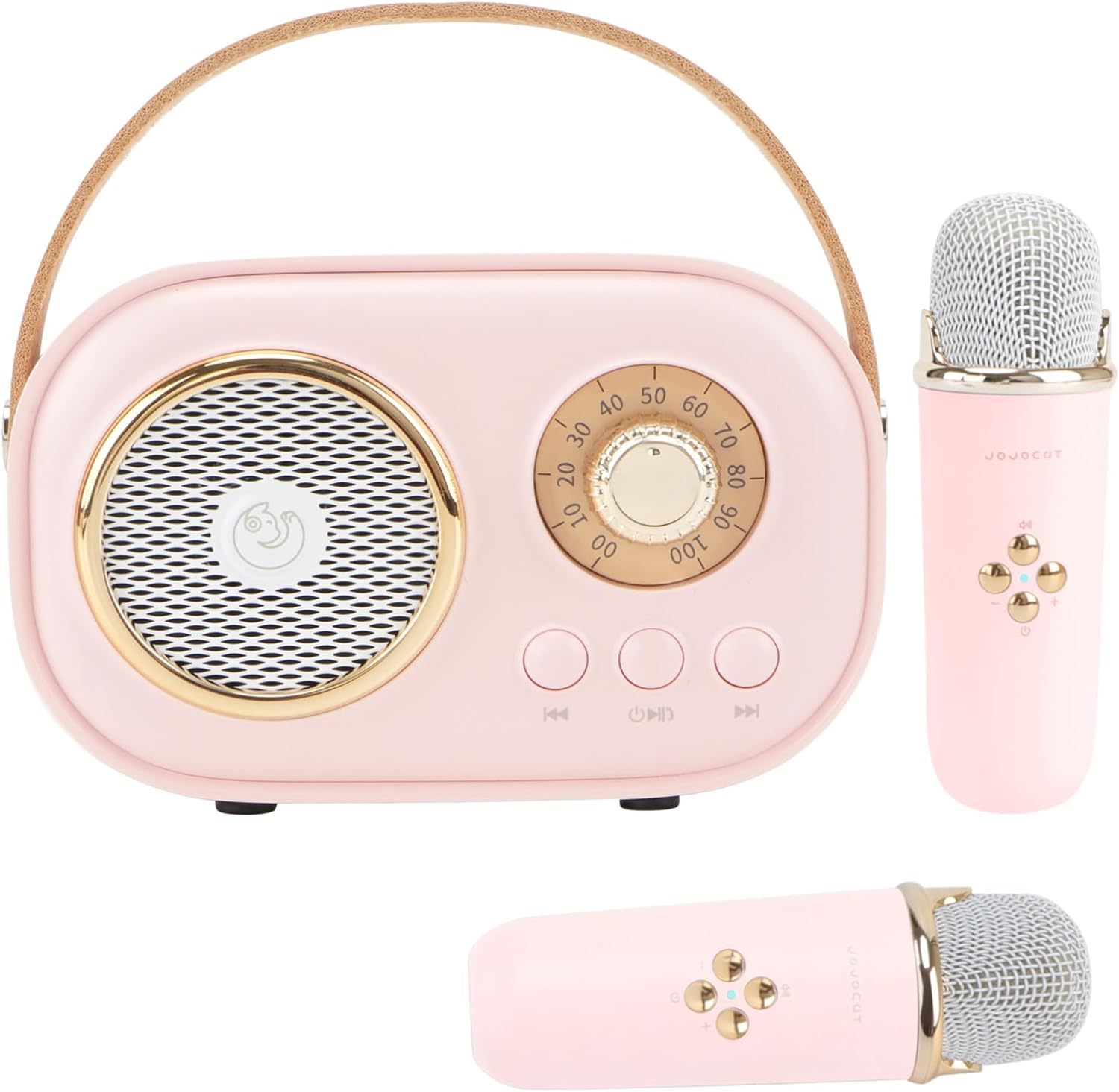 Portable Karaoke Machine for Kids with Dual Microphones - Aresrora