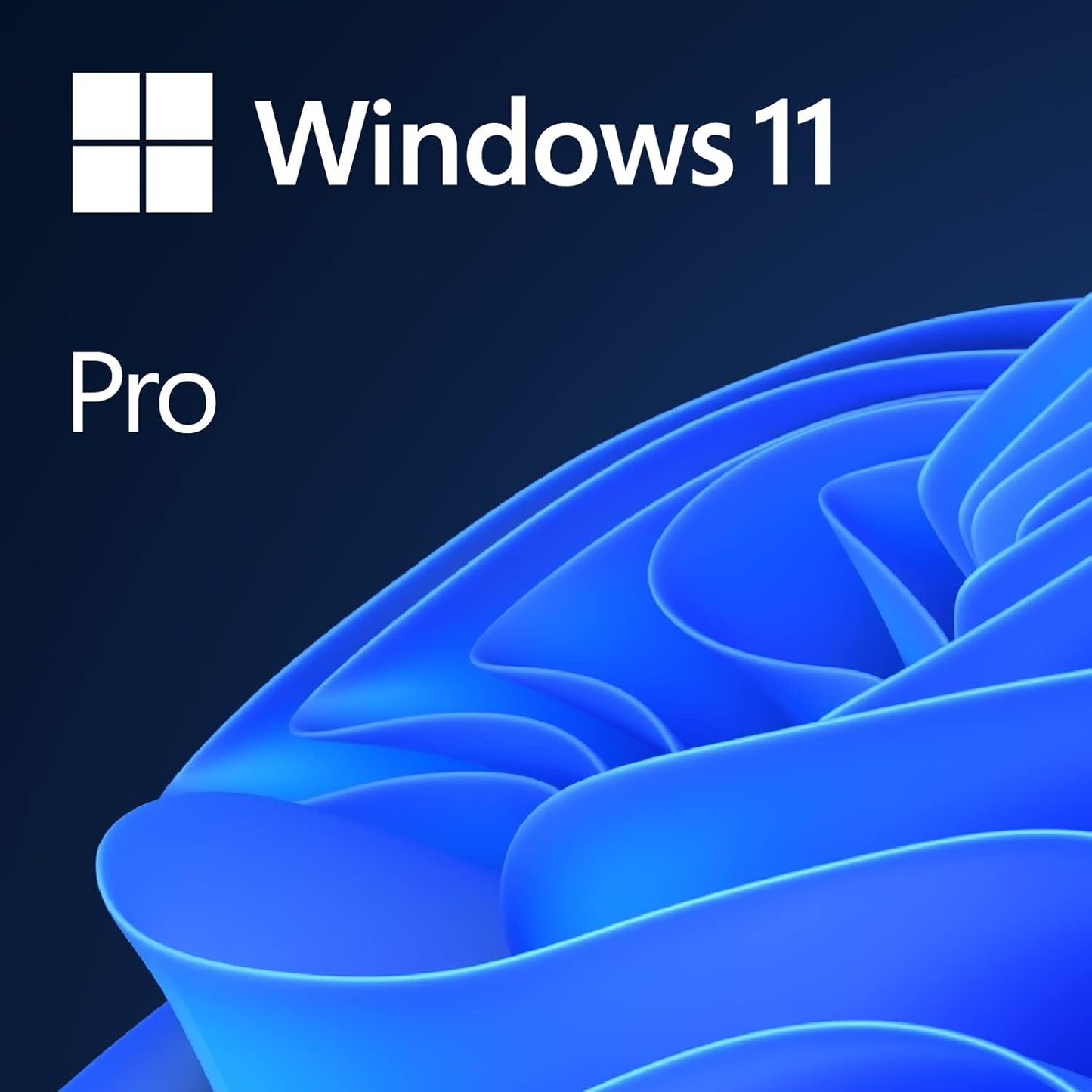 Windows 11 Pro OEM System Builder for New Systems by Microsoft