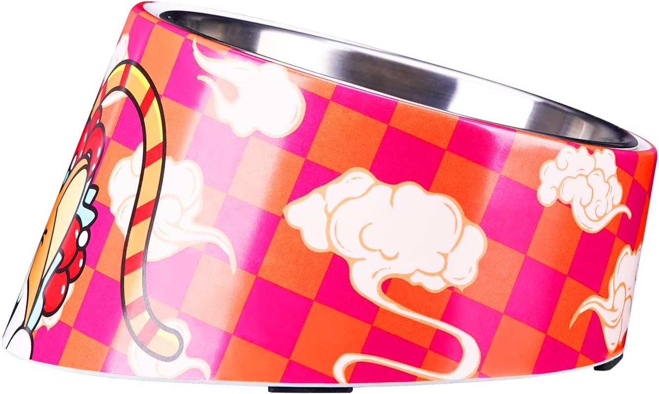 Slanted Dog Bowl for Easy Feeding and Reduced Indigestion