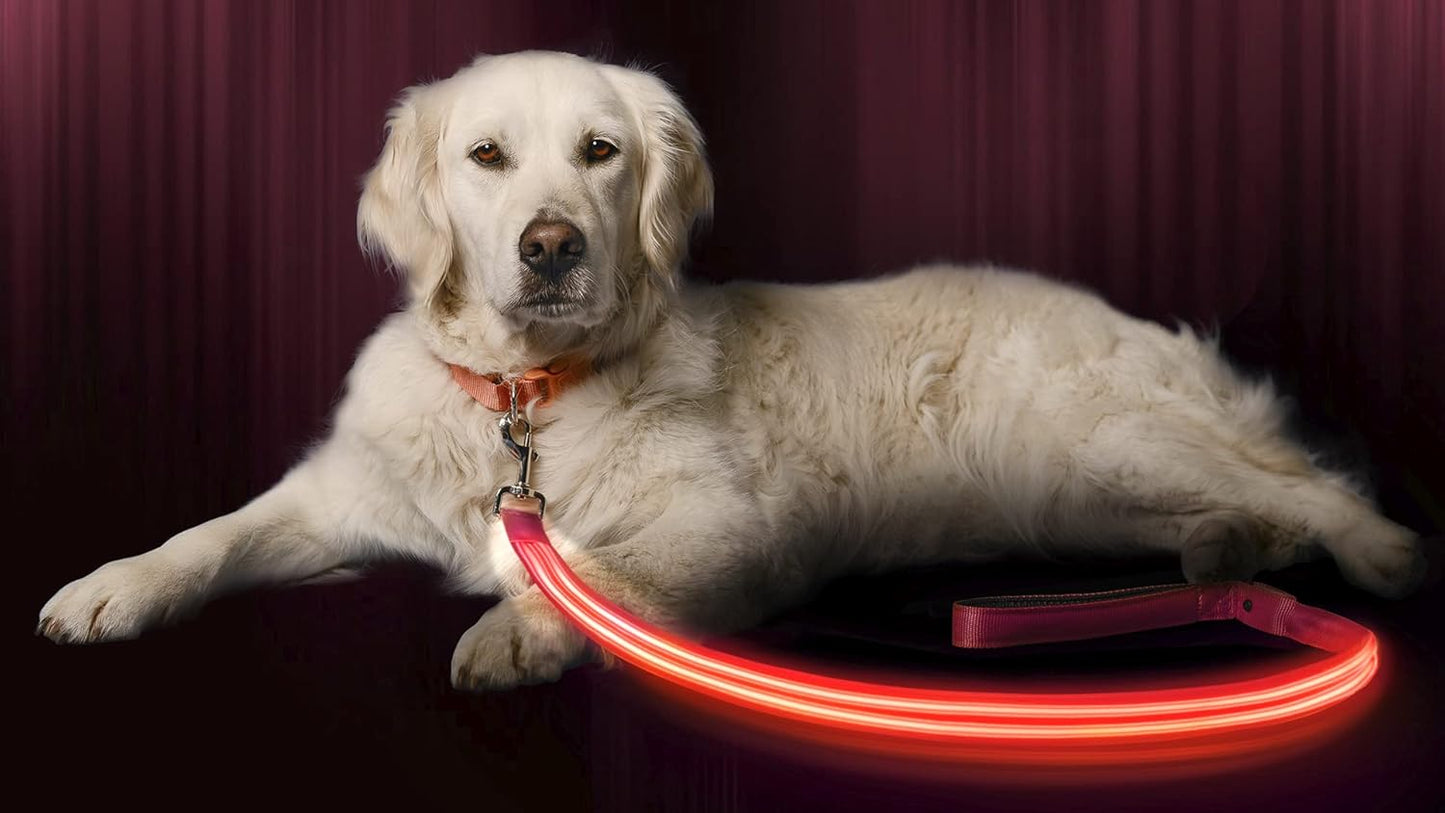 ILLUMISEEN LED Light Up Dog Leash for Safety and Visibility