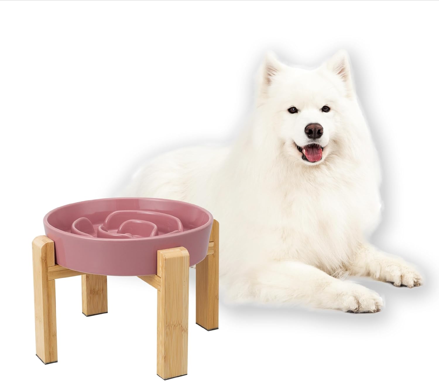 Elevated Slow Feeder Dog Bowl - Ceramic Dish with Bamboo Stand