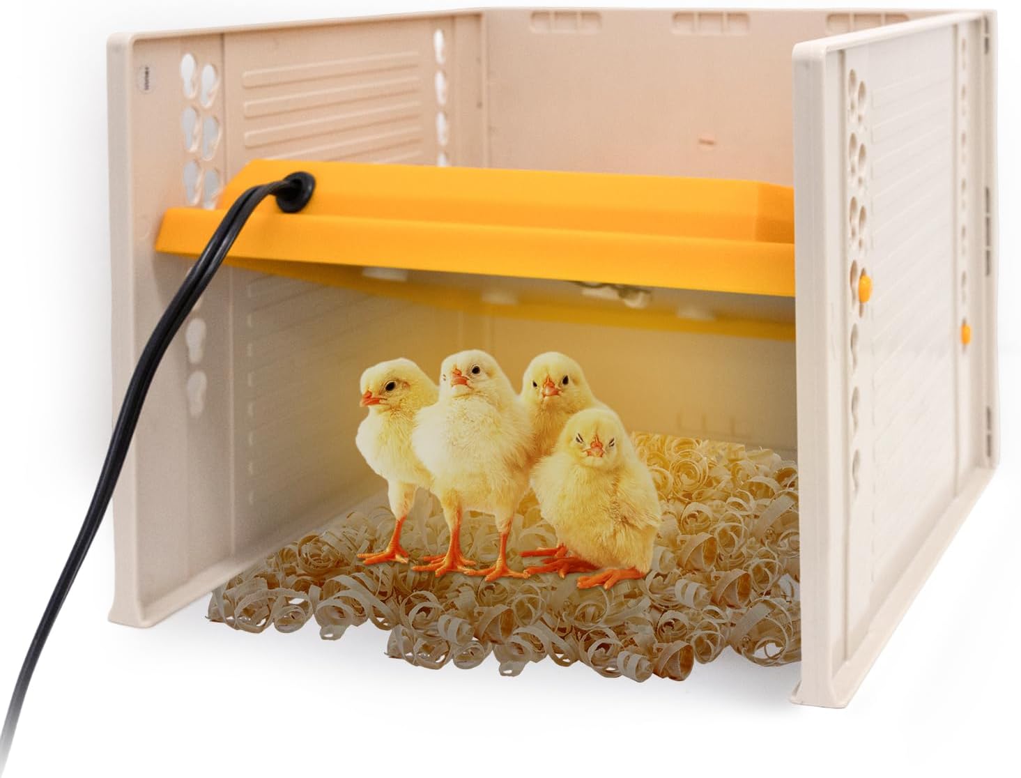 Adjustable Chick Heater Plate - Keep 11 Chicks Warm!