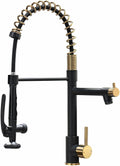 Fapully Black&Gold Kitchen Faucet with Sprayer for Modern Kitchens