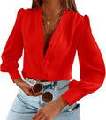 Women's Long Sleeve Chiffon Button Down Blouse - Business Casual
