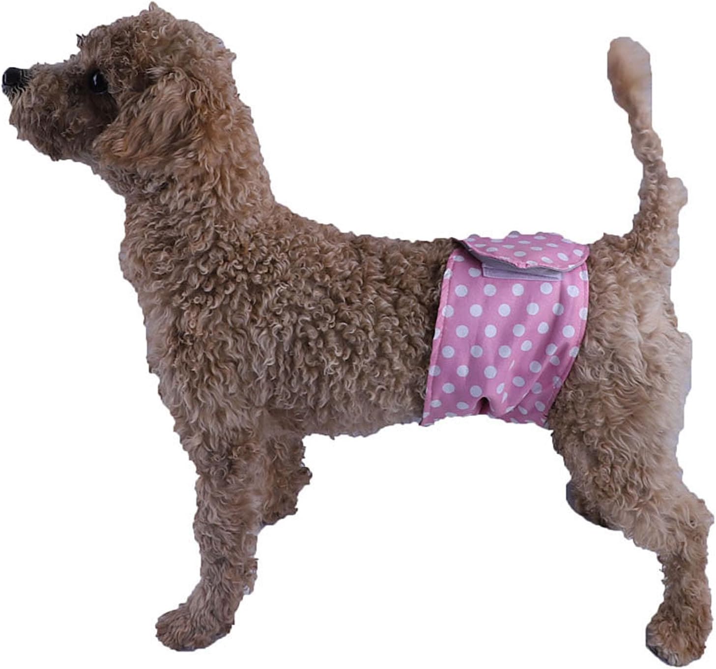 Reusable Washable Male Dog Belly Bands, Pack of 2 - Comfort for Your Pup!