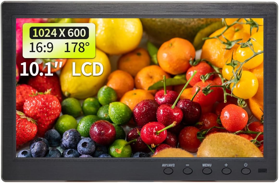 Enhanced Security Display: 10.1 LCD Monitor