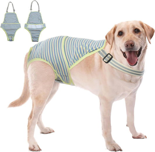 Washable Dog Diapers: Comfort & Coverage for Large Dogs