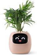 Smart pet Planter Robot Guidance on Plant Care with Emojis - Desk