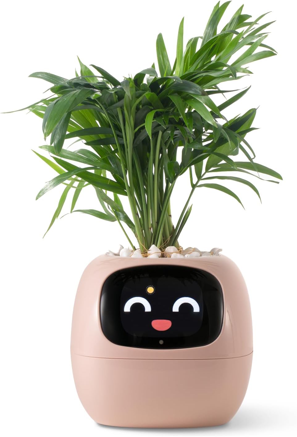 Smart Plant Robot Companion for Effortless Plant Care and Joy